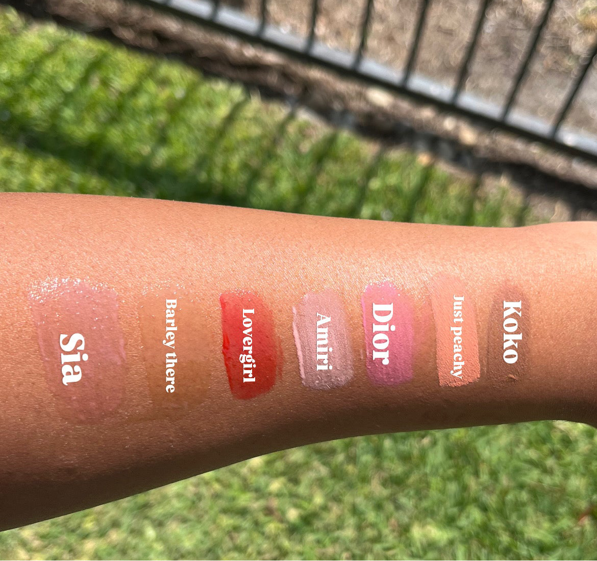 Amiri gloss