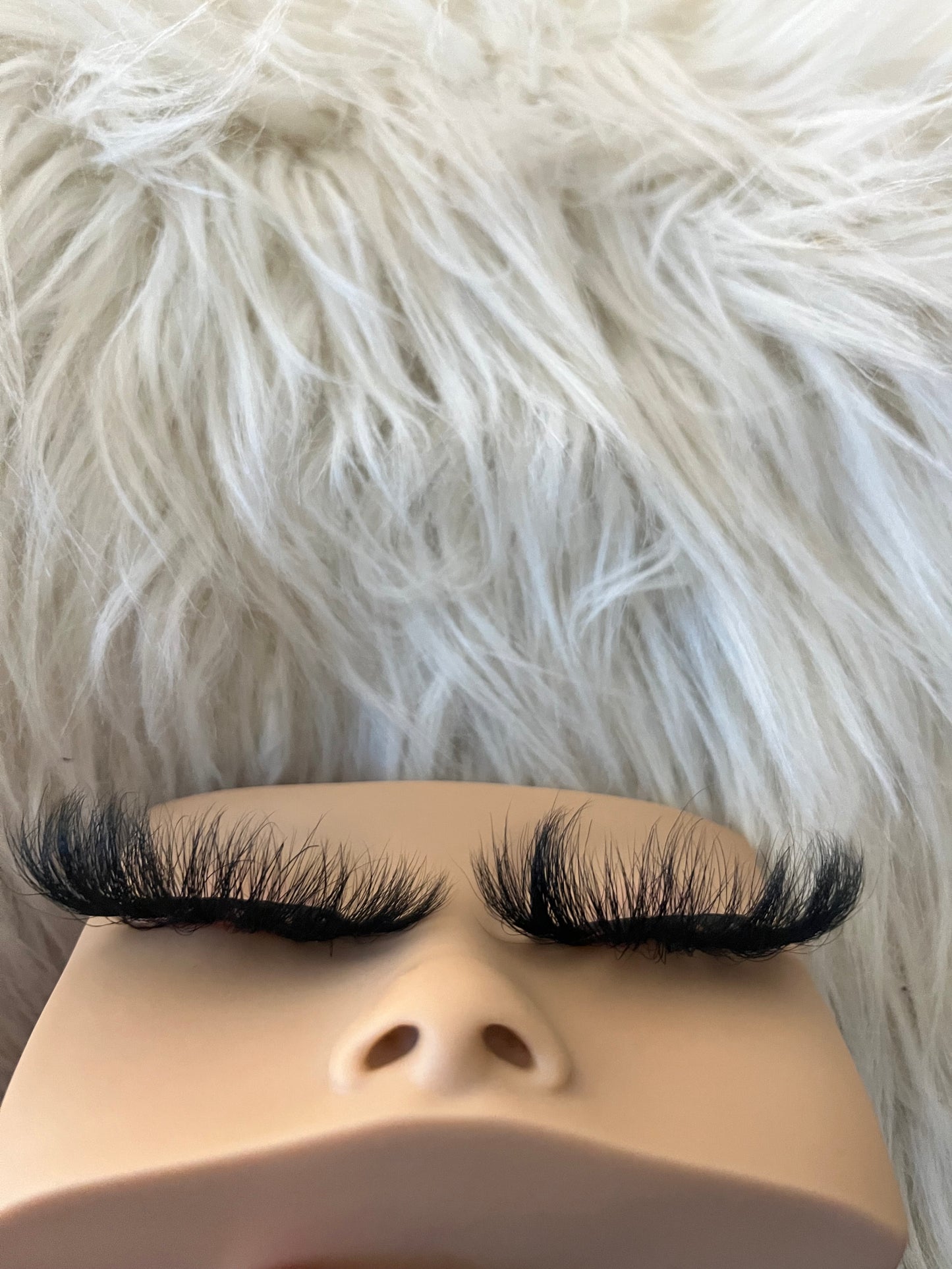 Money lashes